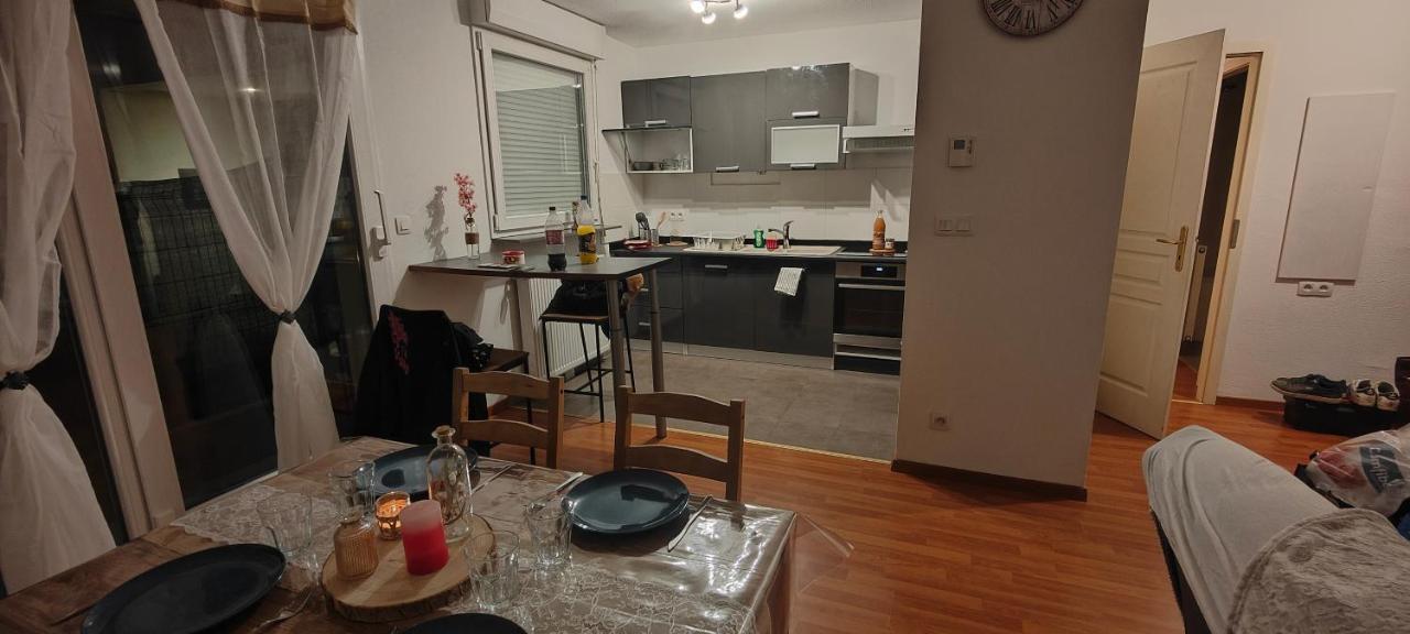 Appartement Rez-De-Chausse Dans Une Petite Ville Au Pied Du Massif Des Vosges Saverne Exterior foto