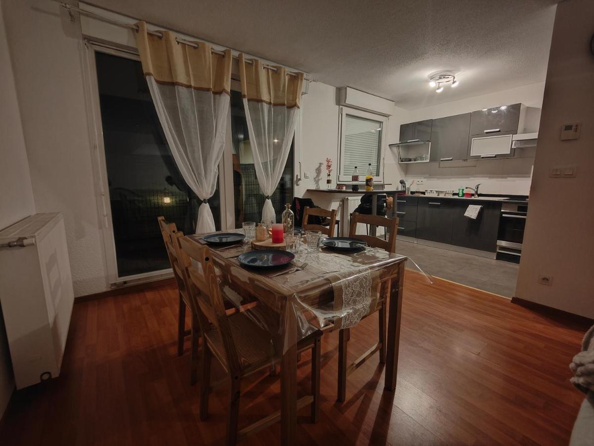 Appartement Rez-De-Chausse Dans Une Petite Ville Au Pied Du Massif Des Vosges Saverne Exterior foto